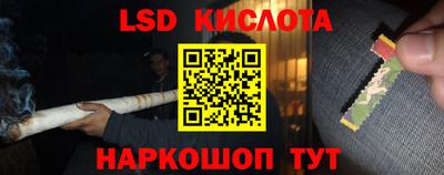 сатива Ярославль