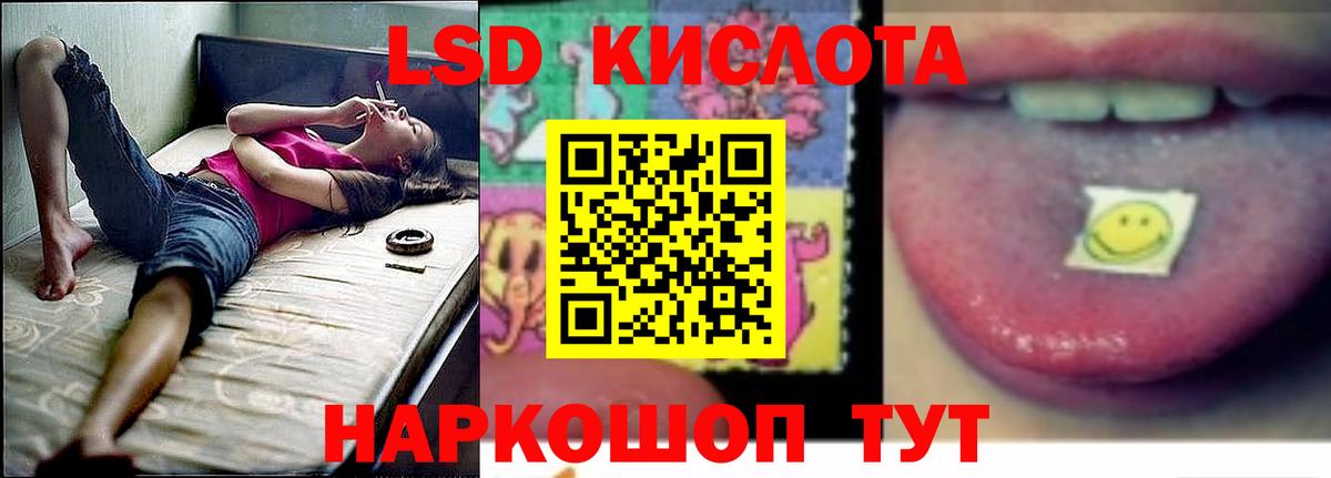 Пугачёв    рабочий сайт  Вход с VPN  ЛСД экстази кислота 