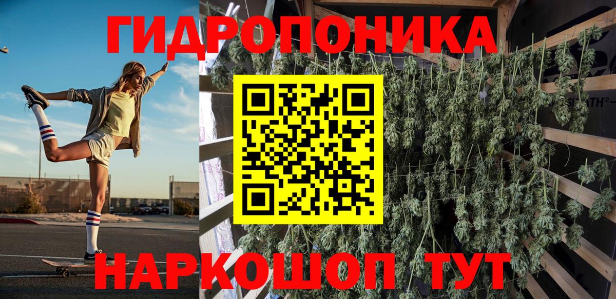 Шишки марихуана семена  Вход с VPN  Бошки Шишки семена  Пугачёв  Канабис семена  Конопля White Widow 